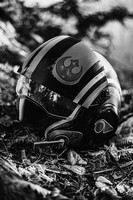 DMP_8903