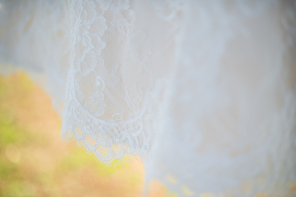 MMP_5646