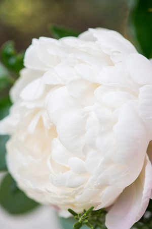 MMP_9926